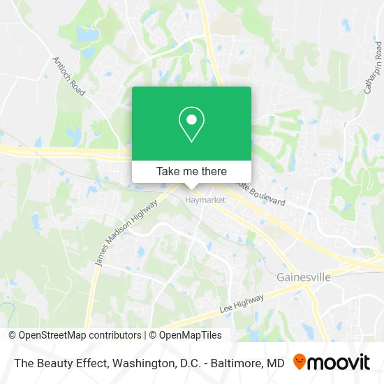 The Beauty Effect map