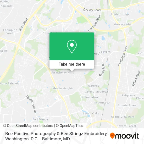 Bee Positive Photography & Bee Stringz Embroidery map