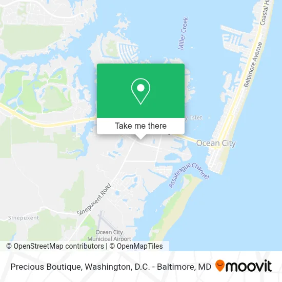 Precious Boutique map