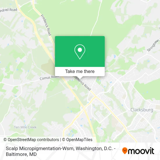 Scalp Micropigmentation-Wsm map