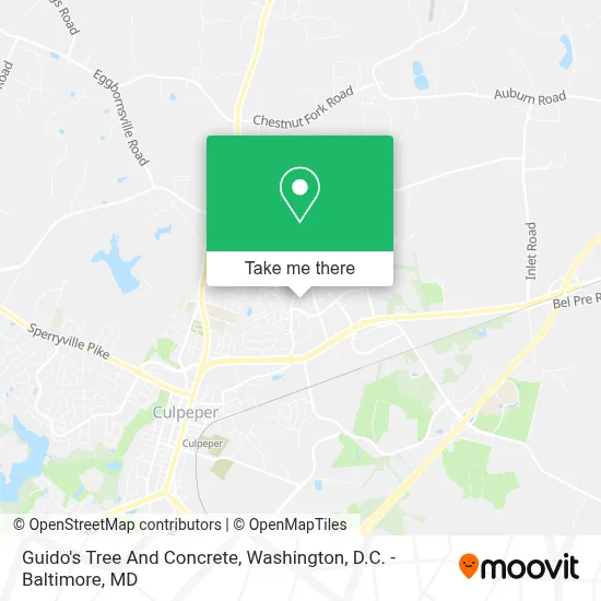 Guido's Tree And Concrete map