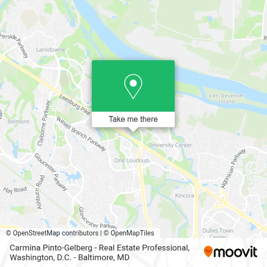 Carmina Pinto-Gelberg - Real Estate Professional map