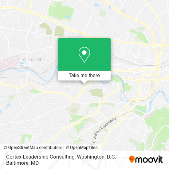 Cortex Leadership Consulting map