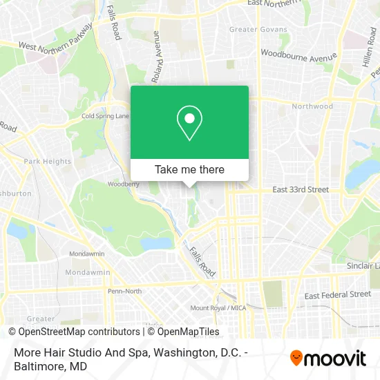 More Hair Studio And Spa map