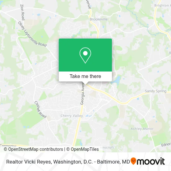 Realtor Vicki Reyes map