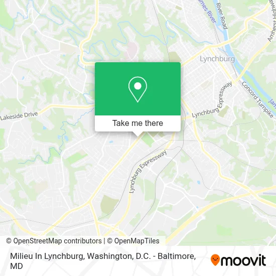 Milieu In Lynchburg map