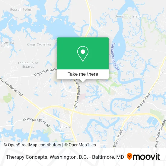 Therapy Concepts map