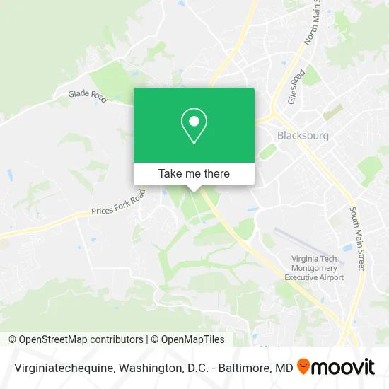 Virginiatechequine map