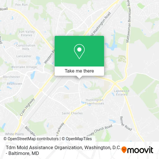 Tdm Mold Assistance Organization map