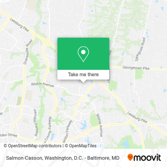 Salmon-Casson map