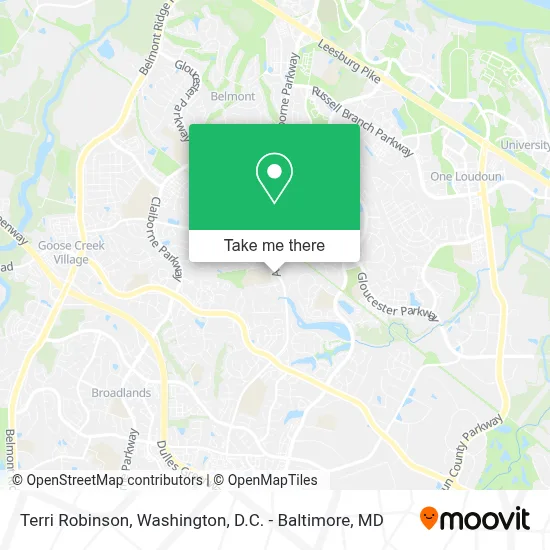 Terri Robinson map