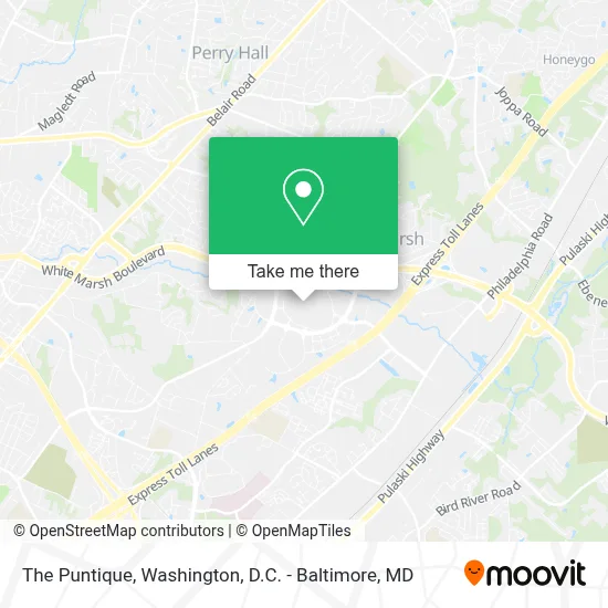 The Puntique map