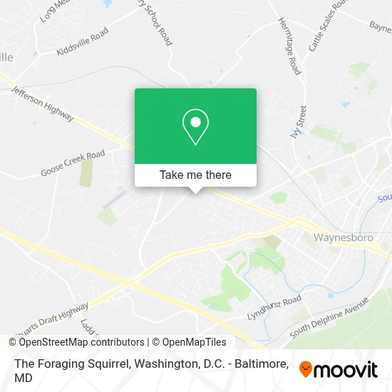 The Foraging Squirrel map