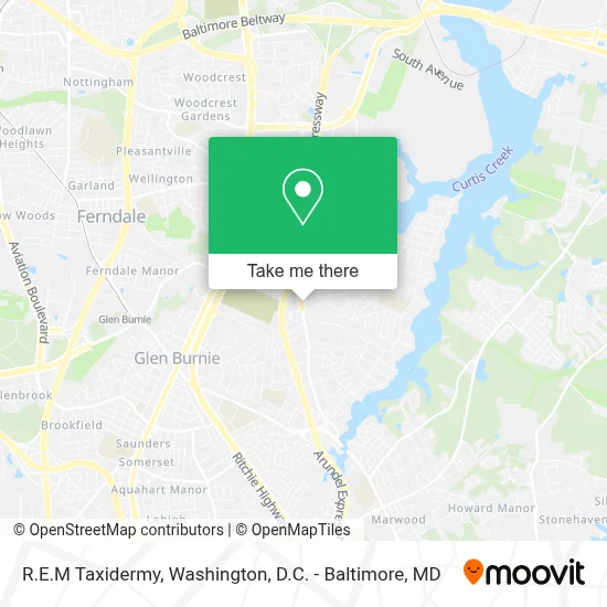 R.E.M Taxidermy map