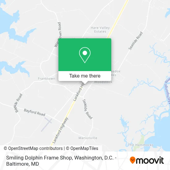 Smiling Dolphin Frame Shop map