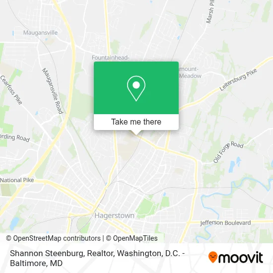 Shannon Steenburg, Realtor map