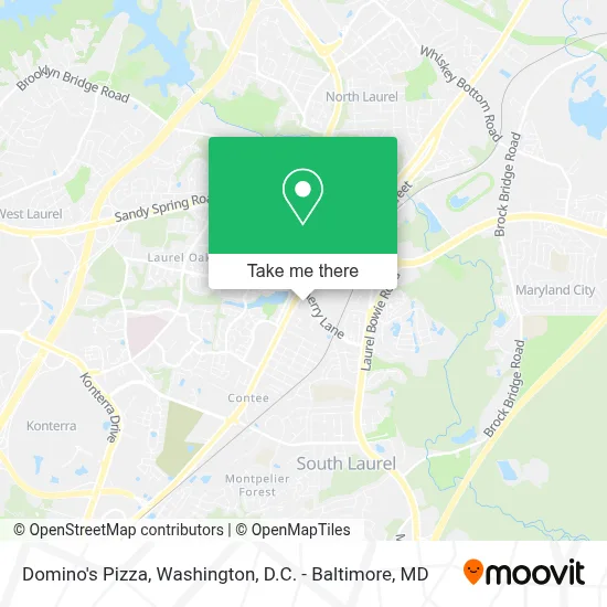 Domino's Pizza map