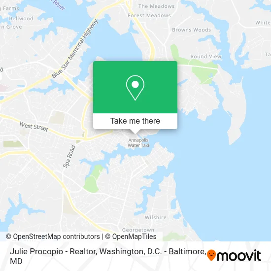 Julie Procopio - Realtor map