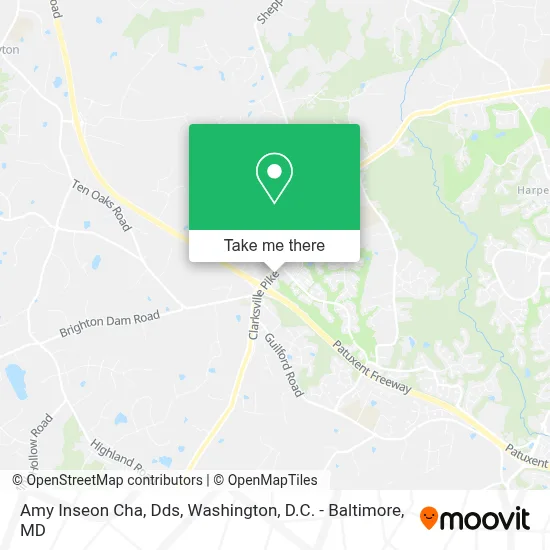 Amy Inseon Cha, Dds map