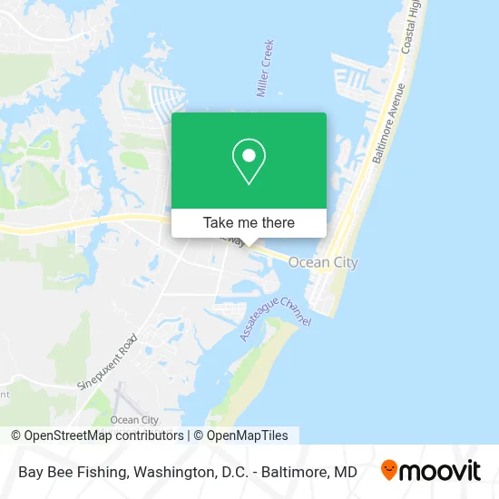 Bay Bee Fishing map