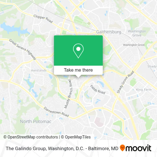 The Galindo Group map