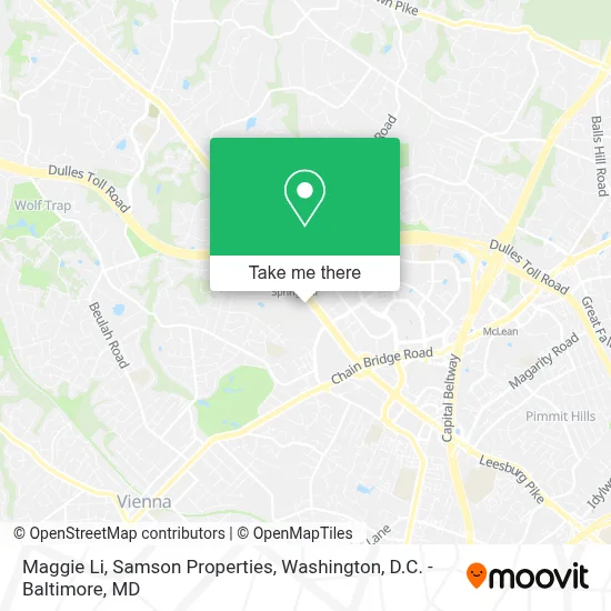 Maggie Li, Samson Properties map