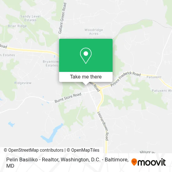 Pelin Basiliko - Realtor map