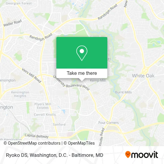 Ryoko DS map