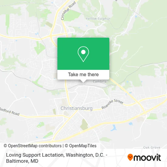 Loving Support Lactation map