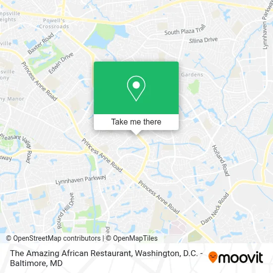 The Amazing African Restaurant map