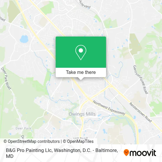 B&G Pro Painting  Llc map