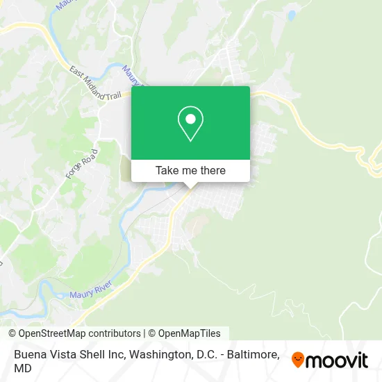 Buena Vista Shell Inc map