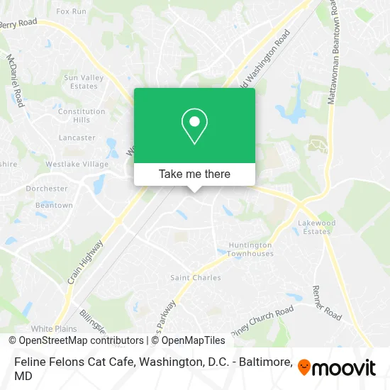 Feline Felons Cat Cafe map