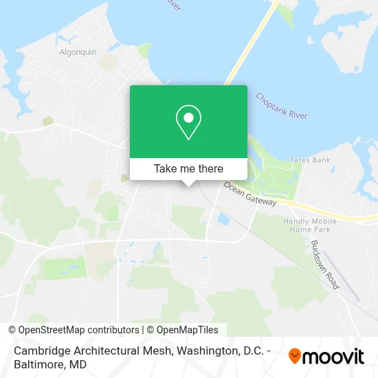 Cambridge Architectural Mesh map