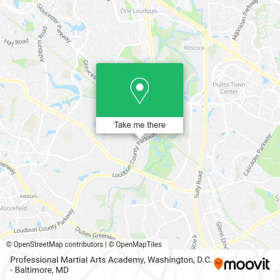 Professional Martial Arts Academy map