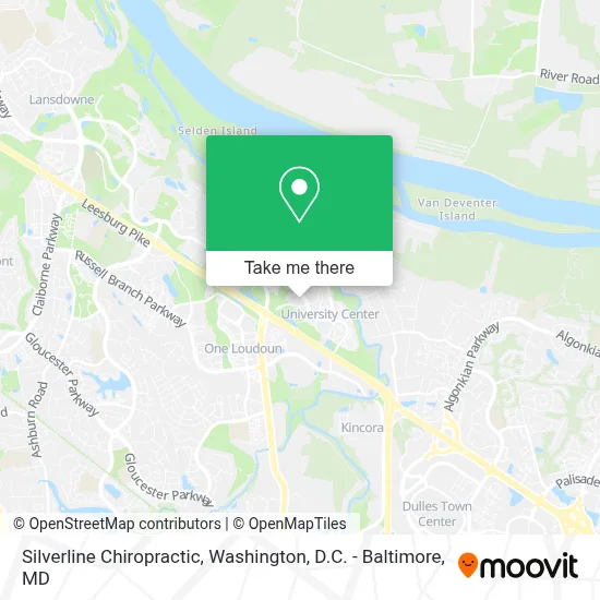 Silverline Chiropractic map