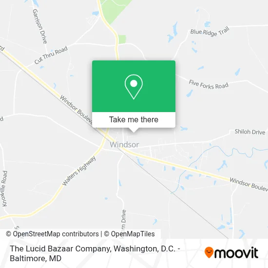 The Lucid Bazaar Company map