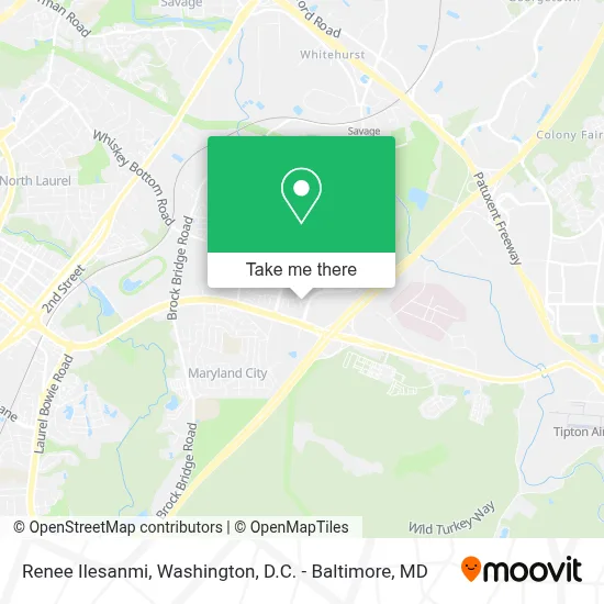 Renee Ilesanmi map
