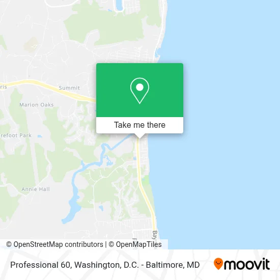Professional 60 map
