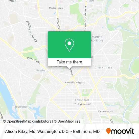 Alison Kitay, Md map