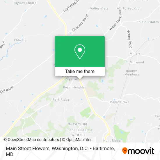 Main Street Flowers map