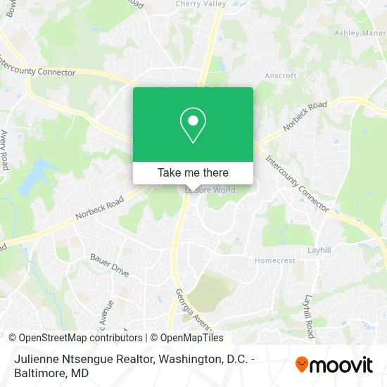 Julienne Ntsengue Realtor map