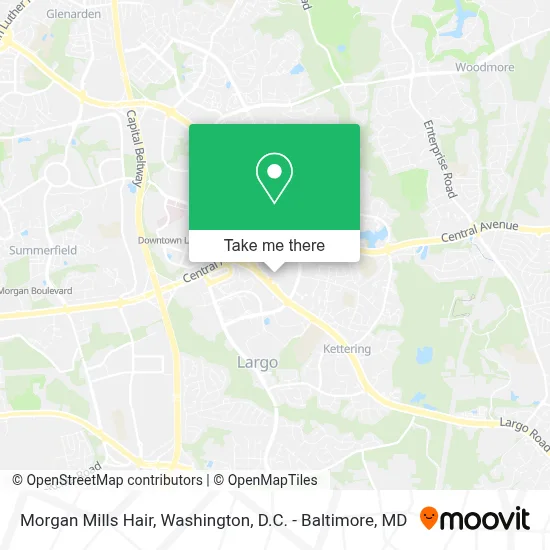 Morgan Mills Hair map