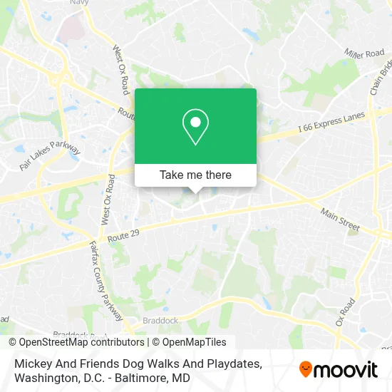 Mickey And Friends Dog Walks And Playdates map