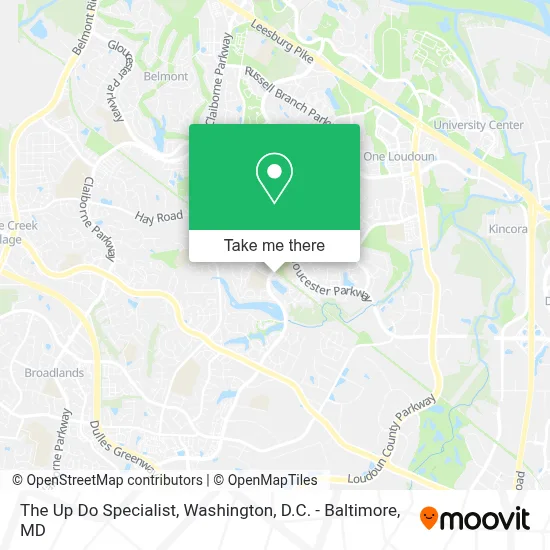 The Up Do Specialist map