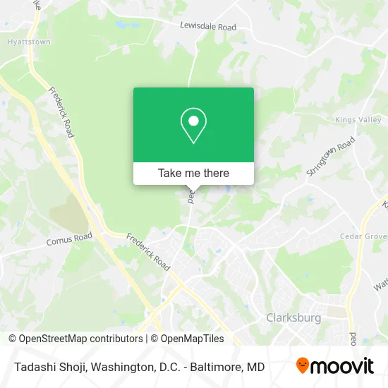Tadashi Shoji map