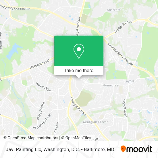 Javi Painting Llc map