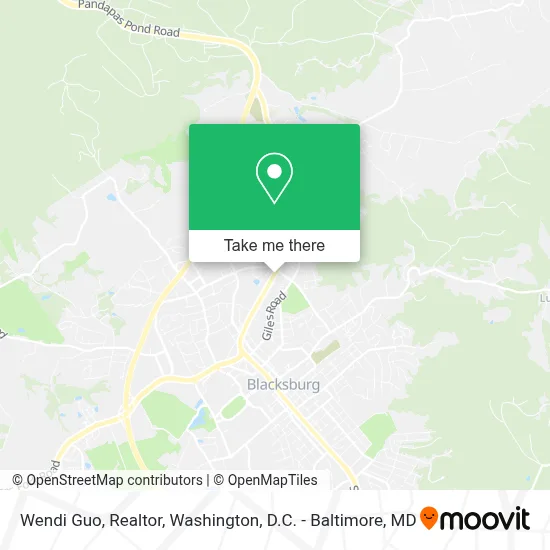 Wendi Guo, Realtor map