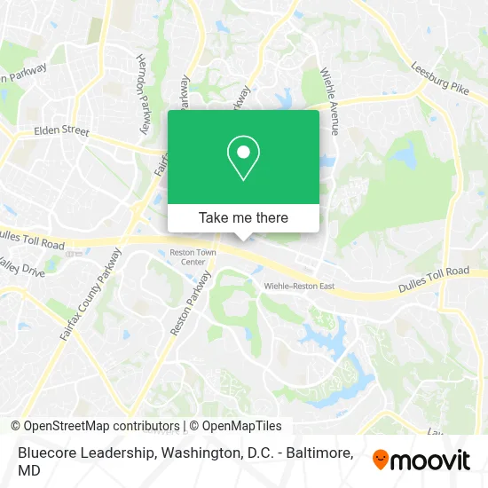 Bluecore Leadership map