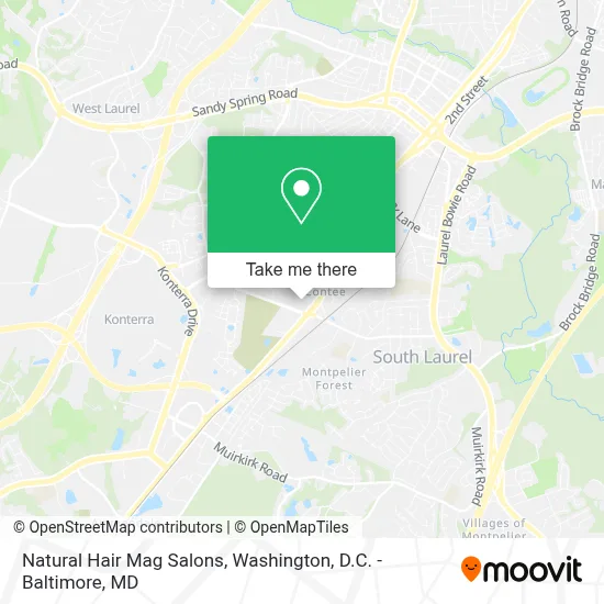 Natural Hair Mag Salons map